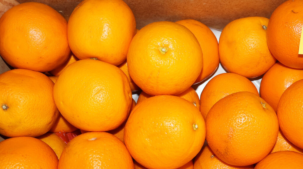 eurosam<br />
Euro Ša.M<br />
Market<br />
voće<br />
hleb<br />
povrće